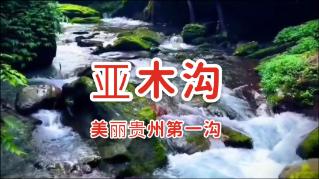 宝贝七巧板